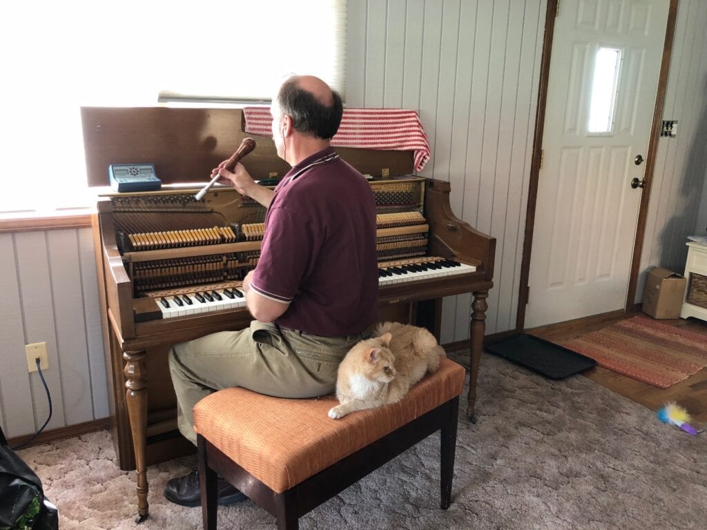Forrest the Cat