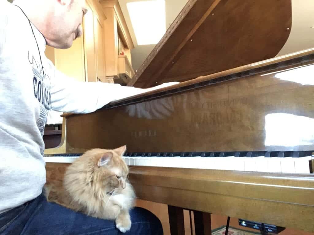 Forrest the cat